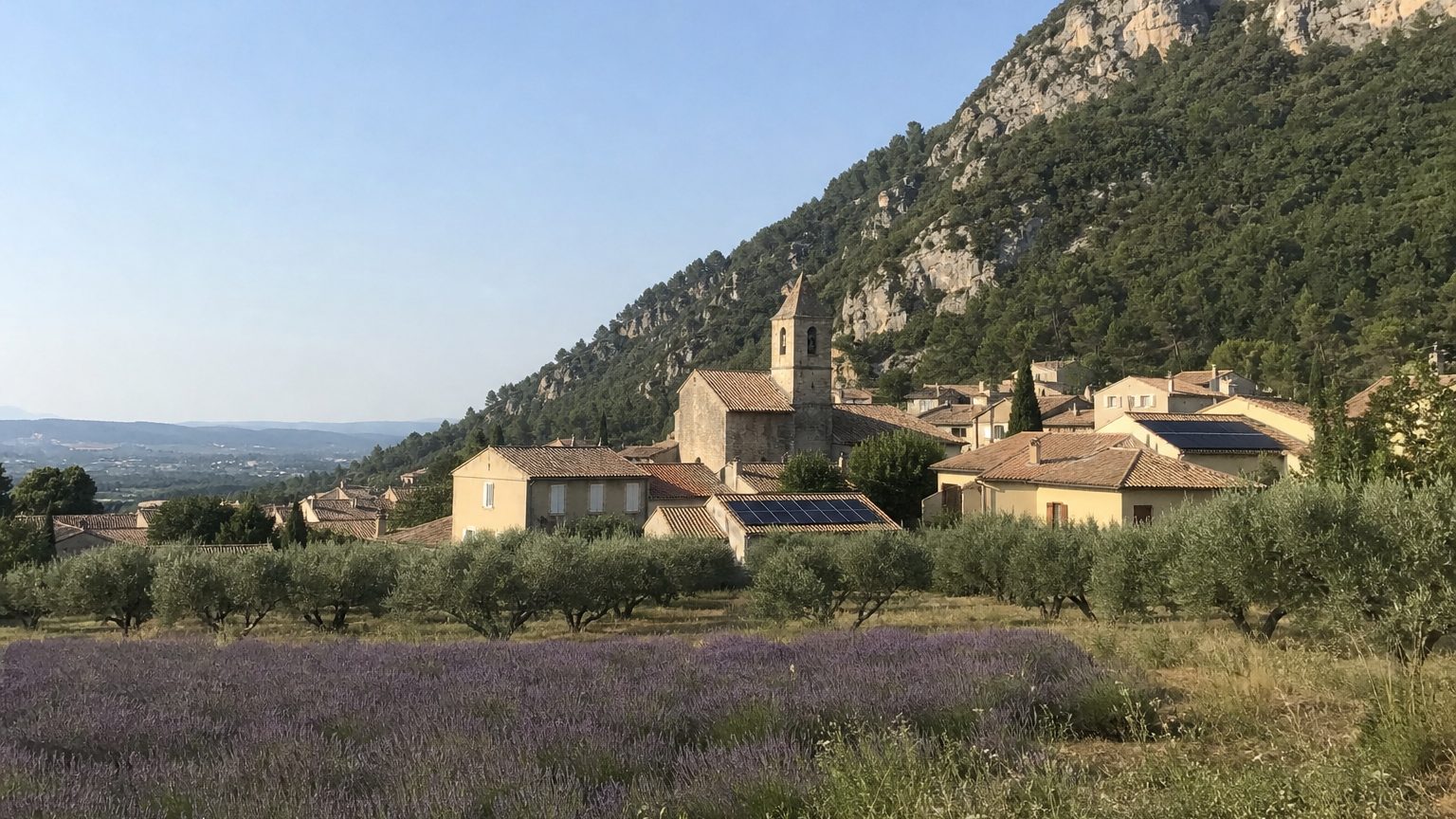 Village provençal, lavande et oliviers devant, quelques toits équipés de panneaux