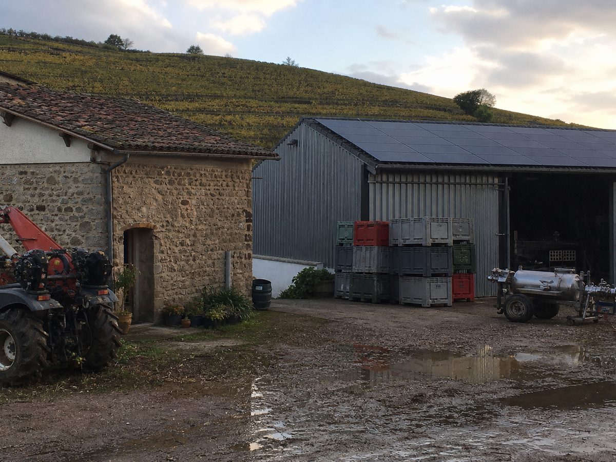 Le hangar à matériel du domaine couvert de panneaux, à côté du cuvage en pierre, les vignes de la côte du Py derrière